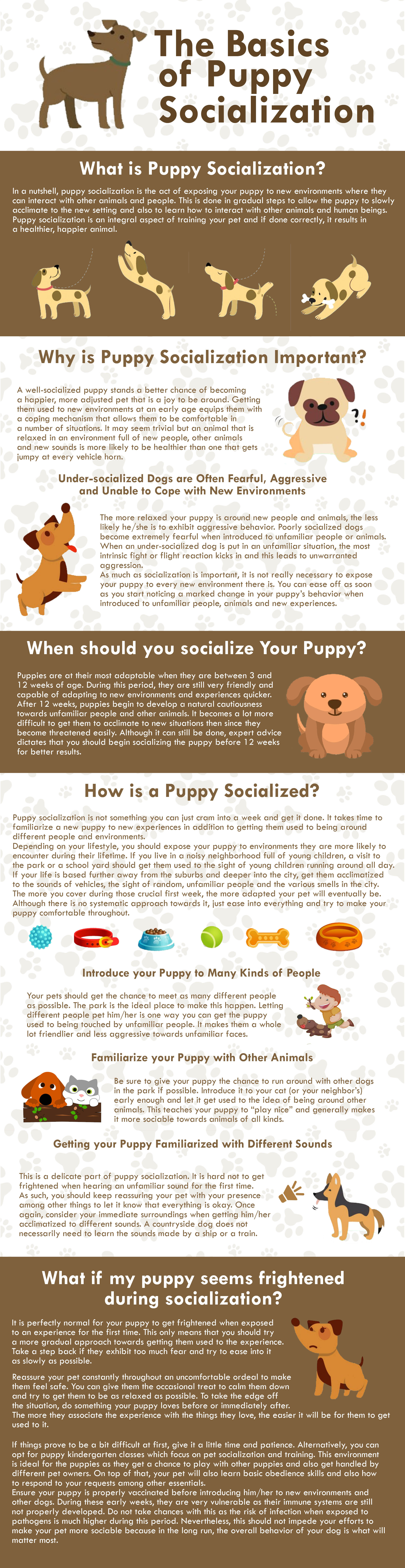 Puppy Socialization Infographic